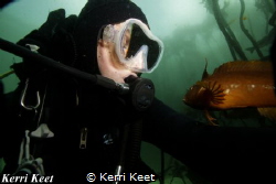 Selfie with a klipfish in the cool Cape Town waters where... by Kerri Keet 